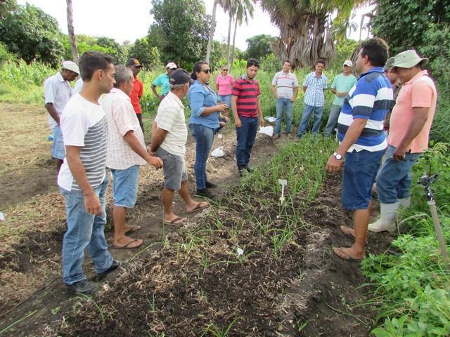 Projeto de Revitalização do Alho Realizou Capacitação - Imagem 49