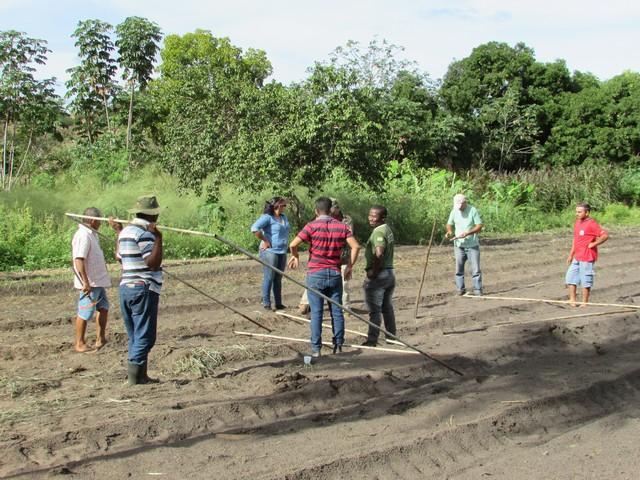 Projeto de Revitalização do Alho Realizou Capacitação - Imagem 66
