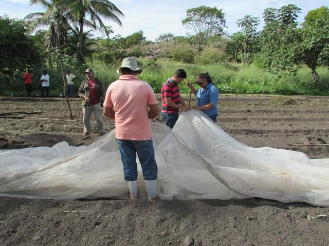 Projeto de Revitalização do Alho Realizou Capacitação - Imagem 72