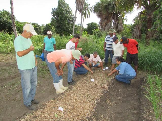 Projeto de Revitalização do Alho Realizou Capacitação - Imagem 29