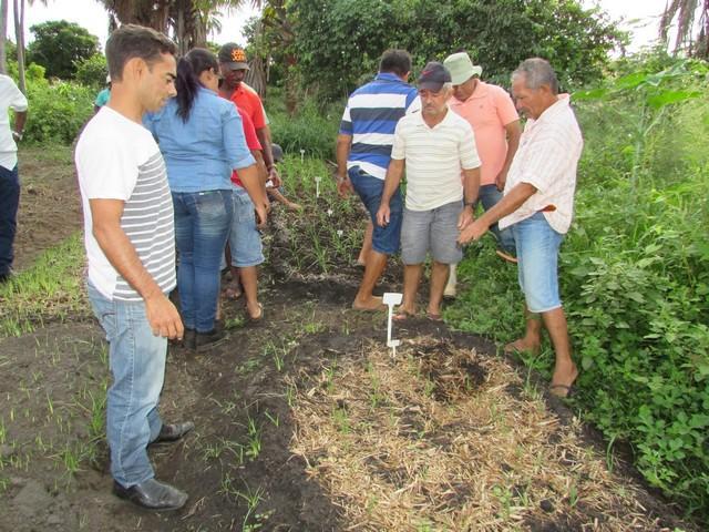 Projeto de Revitalização do Alho Realizou Capacitação - Imagem 42