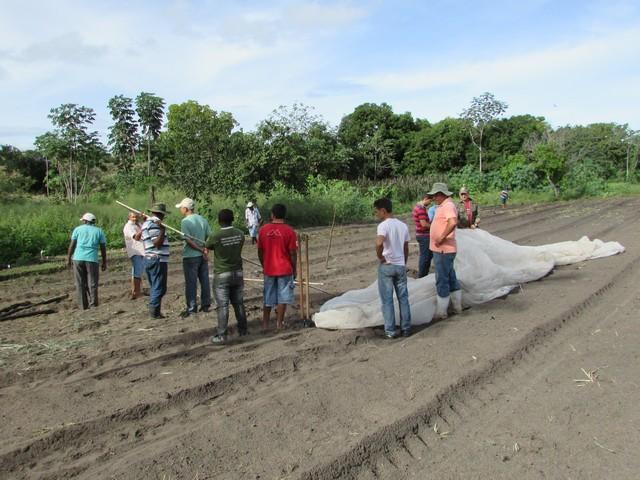 Projeto de Revitalização do Alho Realizou Capacitação - Imagem 69