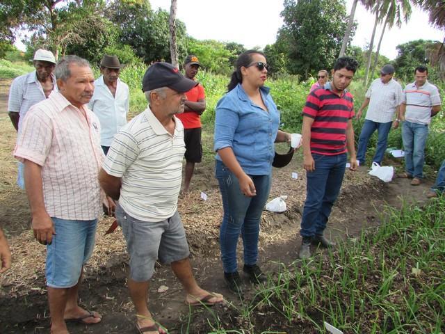 Projeto de Revitalização do Alho Realizou Capacitação - Imagem 51