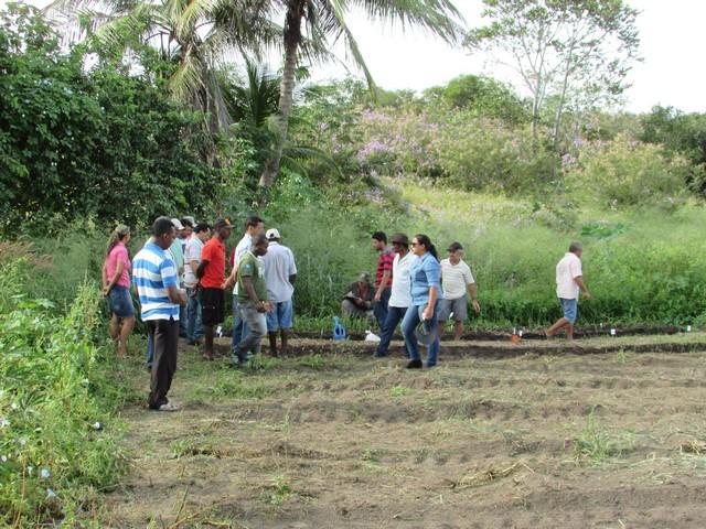 Projeto de Revitalização do Alho Realizou Capacitação - Imagem 53