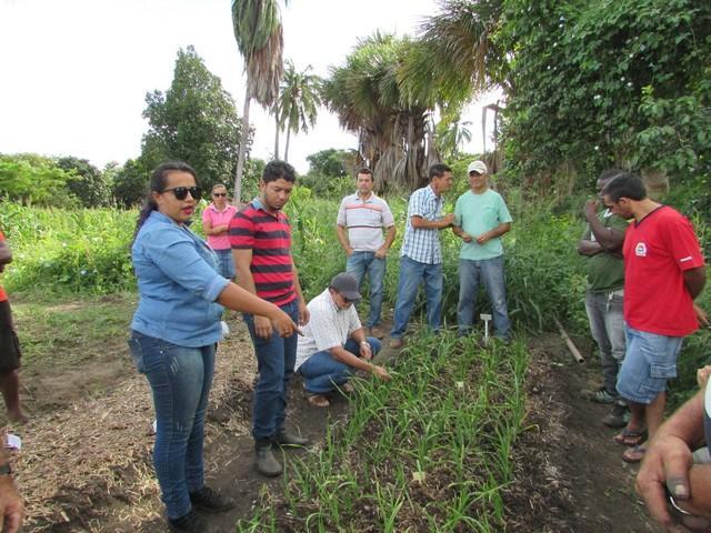 Projeto de Revitalização do Alho Realizou Capacitação - Imagem 52