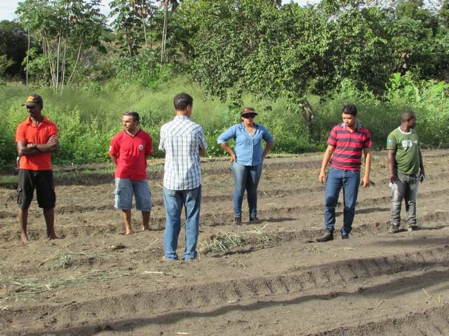 Projeto de Revitalização do Alho Realizou Capacitação - Imagem 57