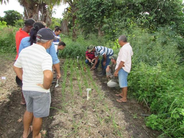 Projeto de Revitalização do Alho Realizou Capacitação - Imagem 32