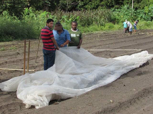 Projeto de Revitalização do Alho Realizou Capacitação - Imagem 73