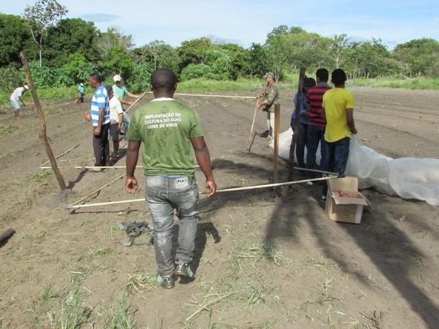 Projeto de Revitalização do Alho Realizou Capacitação - Imagem 79