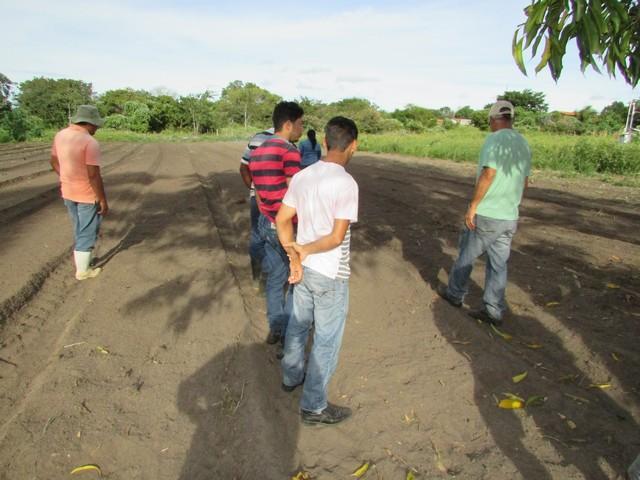Projeto de Revitalização do Alho Realizou Capacitação - Imagem 26