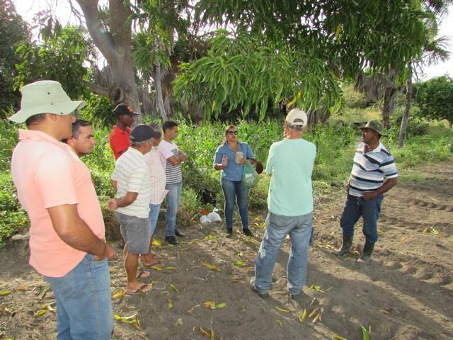 Projeto de Revitalização do Alho Realizou Capacitação - Imagem 21