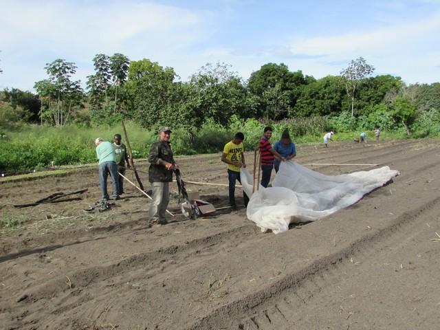 Projeto de Revitalização do Alho Realizou Capacitação - Imagem 75