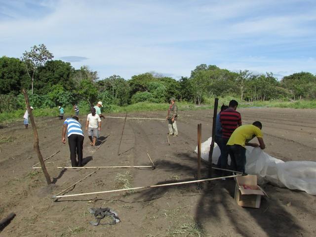 Projeto de Revitalização do Alho Realizou Capacitação - Imagem 77