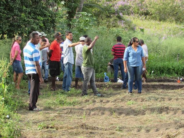 Projeto de Revitalização do Alho Realizou Capacitação - Imagem 54