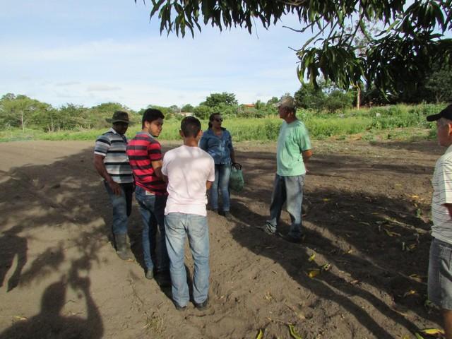 Projeto de Revitalização do Alho Realizou Capacitação - Imagem 25