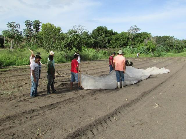 Projeto de Revitalização do Alho Realizou Capacitação - Imagem 68