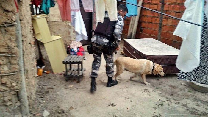 Canil da PM desarticula ponto de venda de drogas em Parnaíba - Imagem 1