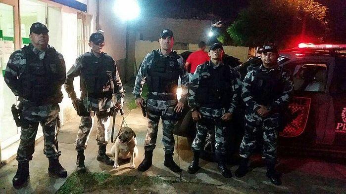 Canil da PM desarticula ponto de venda de drogas em Parnaíba - Imagem 4