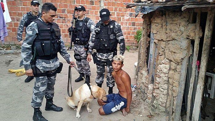 Canil da PM desarticula ponto de venda de drogas em Parnaíba - Imagem 2