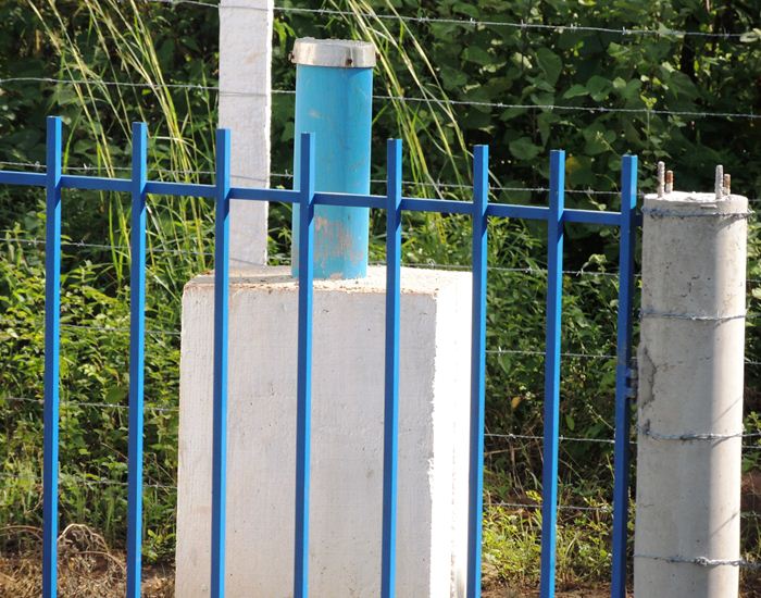 Jegue Pipa: antes em extinção, agora comum em Pedro II  - Imagem 8