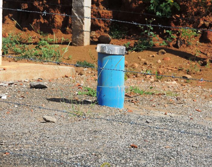 Jegue Pipa: antes em extinção, agora comum em Pedro II  - Imagem 13