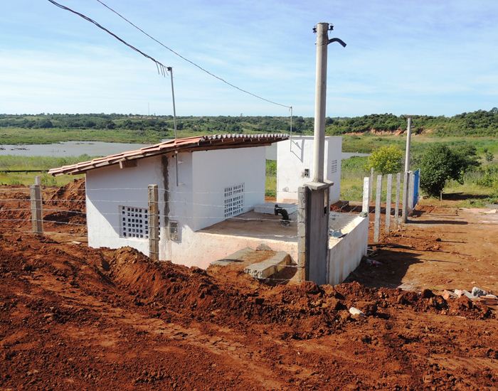 Jegue Pipa: antes em extinção, agora comum em Pedro II  - Imagem 14