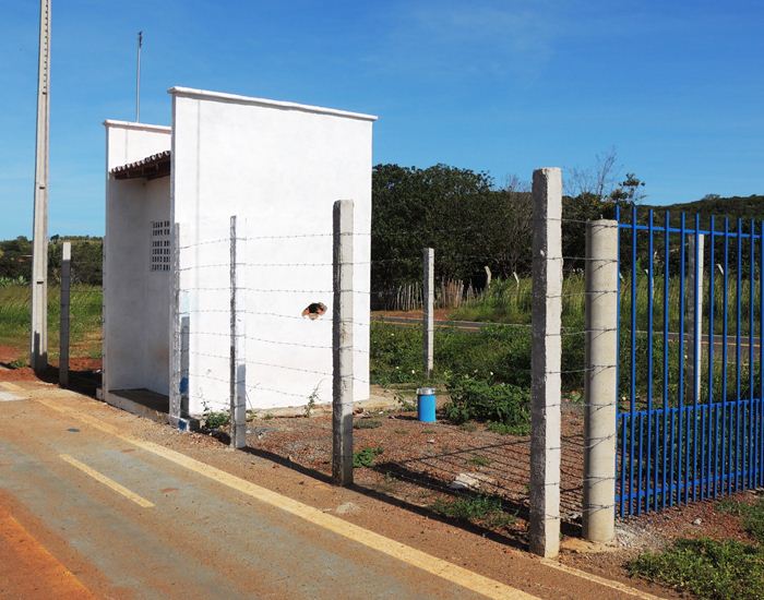 Jegue Pipa: antes em extinção, agora comum em Pedro II  - Imagem 10