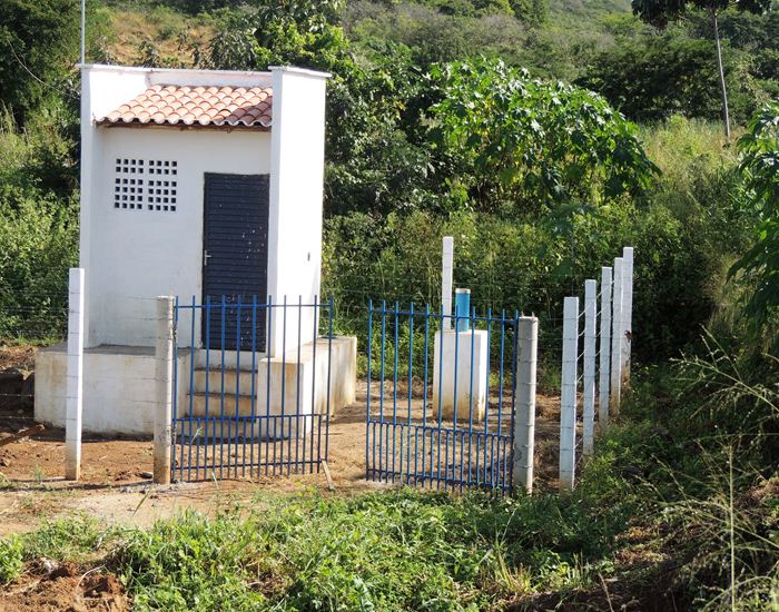 Jegue Pipa: antes em extinção, agora comum em Pedro II  - Imagem 7