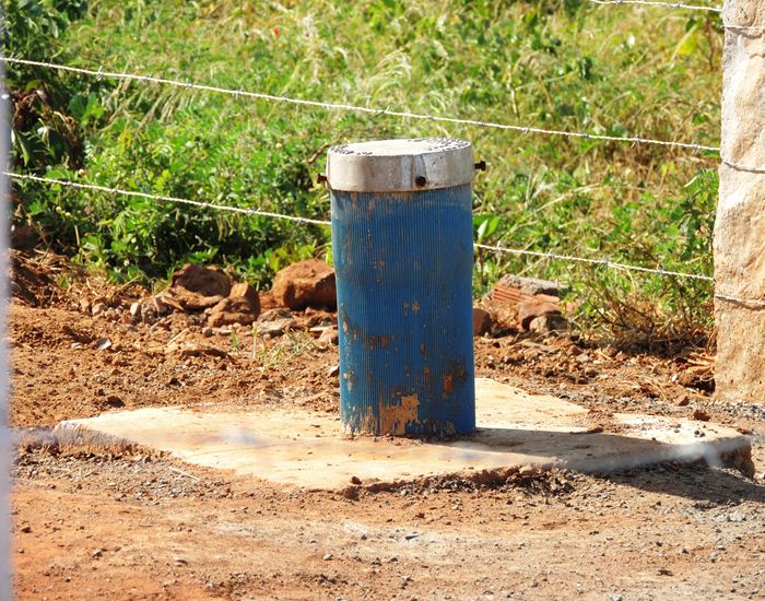 Jegue Pipa: antes em extinção, agora comum em Pedro II  - Imagem 17