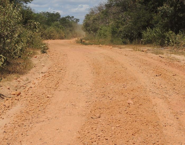 Município dá início a recuperação de estrada ao assentamento   - Imagem 12