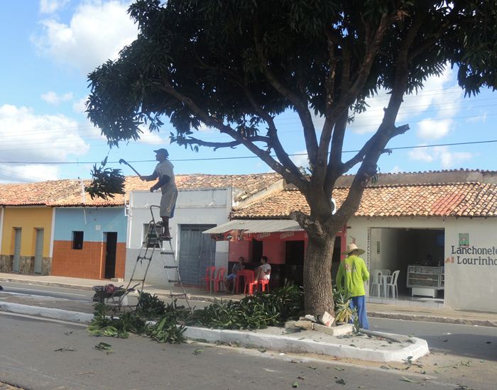 Município acelera e prepara a cidade para o Festival de Inverno - Imagem 6