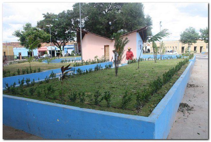 Prefeitura de Inhuma realiza implantação de grama em Praças - Imagem 10