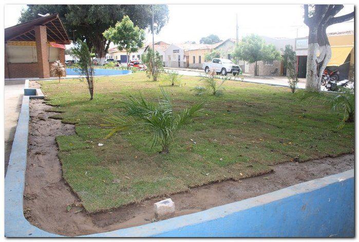 Prefeitura de Inhuma realiza implantação de grama em Praças - Imagem 16