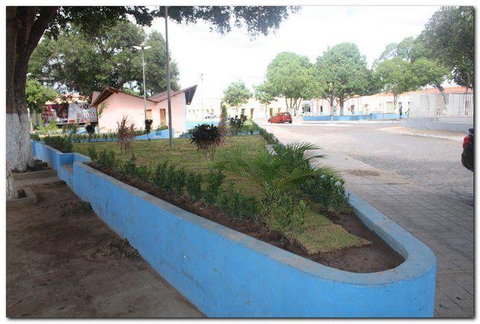 Prefeitura de Inhuma realiza implantação de grama em Praças - Imagem 12