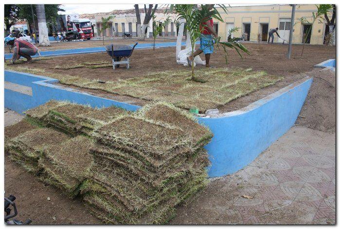 Prefeitura de Inhuma realiza implantação de grama em Praças - Imagem 1
