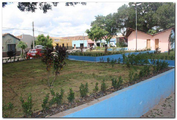 Prefeitura de Inhuma realiza implantação de grama em Praças - Imagem 11