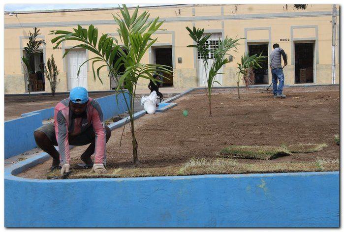 Prefeitura de Inhuma realiza implantação de grama em Praças - Imagem 5