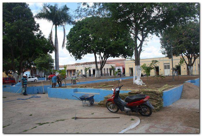 Prefeitura de Inhuma realiza implantação de grama em Praças - Imagem 6