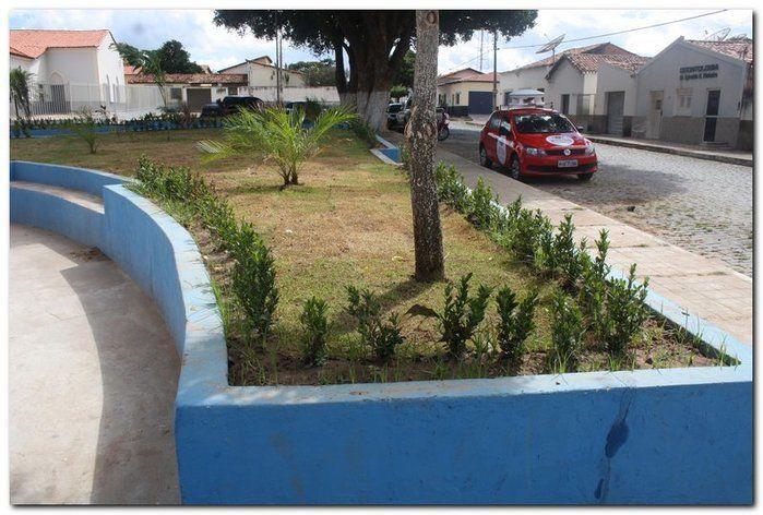 Prefeitura de Inhuma realiza implantação de grama em Praças - Imagem 14