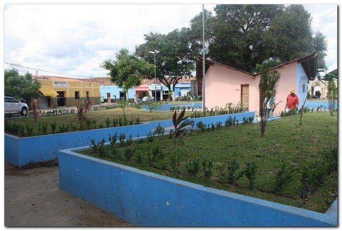 Prefeitura de Inhuma realiza implantação de grama em Praças - Imagem 9