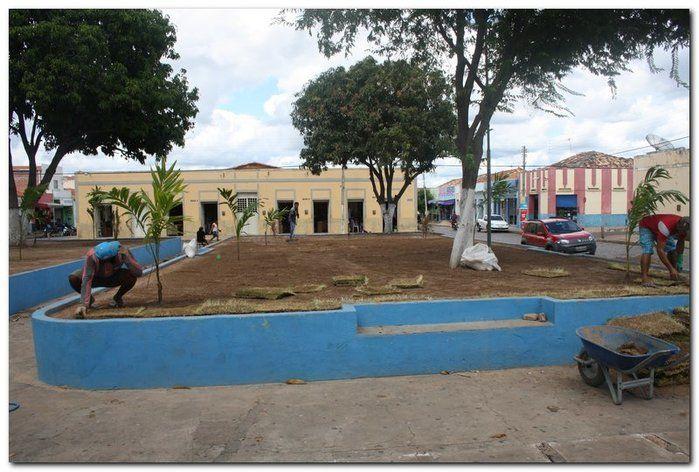 Prefeitura de Inhuma realiza implantação de grama em Praças - Imagem 7