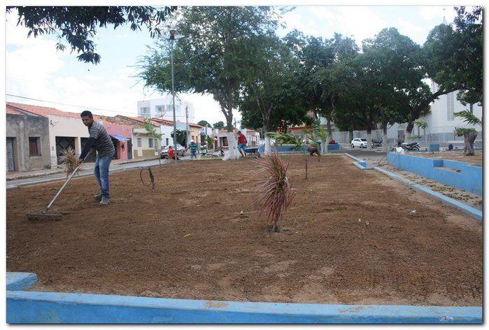 Prefeitura de Inhuma realiza implantação de grama em Praças - Imagem 3