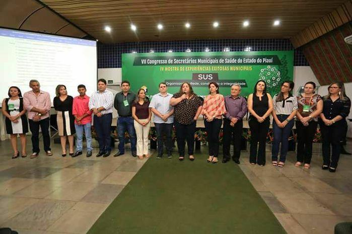 Equipe diretora do COSEMS-PI 