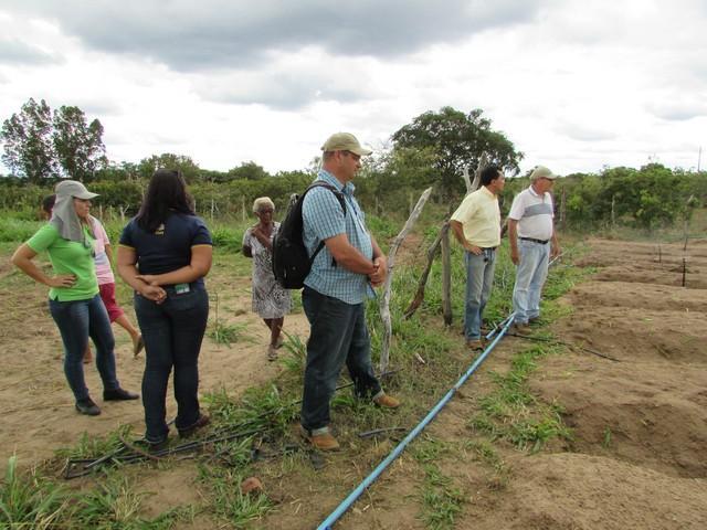 Equipe da EMBRAPA Brasília Realizou Visita Técnica em Ipiranga - Imagem 52