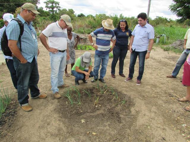 Equipe da EMBRAPA Brasília Realizou Visita Técnica em Ipiranga - Imagem 25