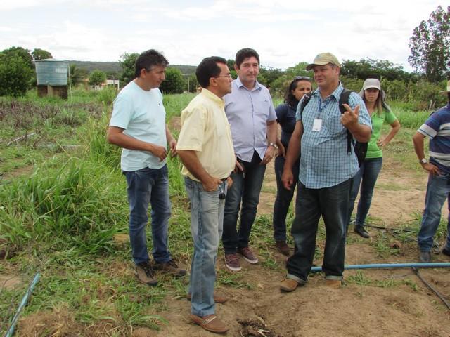 Equipe da EMBRAPA Brasília Realizou Visita Técnica em Ipiranga - Imagem 43