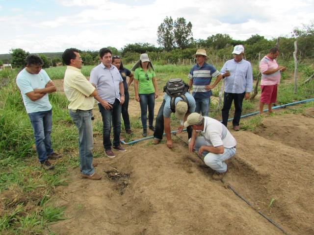 Equipe da EMBRAPA Brasília Realizou Visita Técnica em Ipiranga - Imagem 40