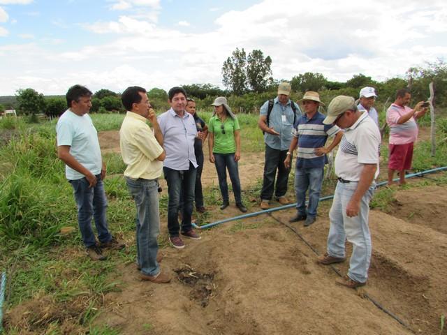 Equipe da EMBRAPA Brasília Realizou Visita Técnica em Ipiranga - Imagem 41