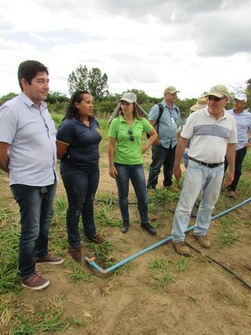 Equipe da EMBRAPA Brasília Realizou Visita Técnica em Ipiranga - Imagem 50
