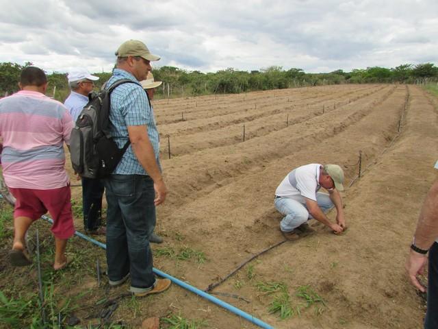 Equipe da EMBRAPA Brasília Realizou Visita Técnica em Ipiranga - Imagem 38
